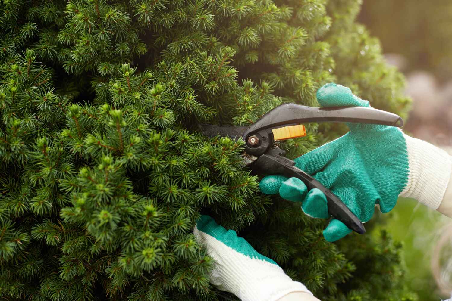 Best Affordable Tree Service  in Quincy, MI